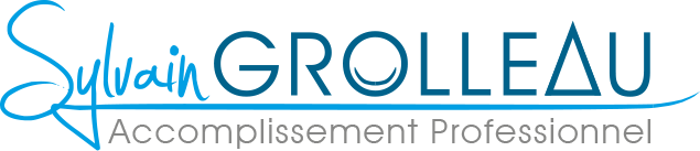 Sylvain Grolleau, accomplissemnt professionnel
